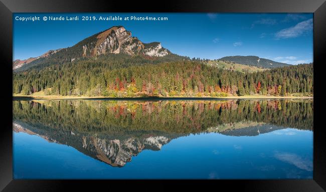 Obersee Reflections Framed Print by DiFigiano Photography
