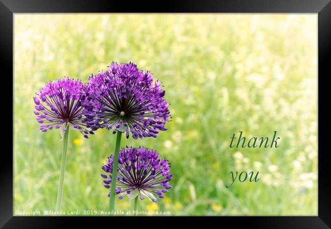 Thank You Framed Print by DiFigiano Photography
