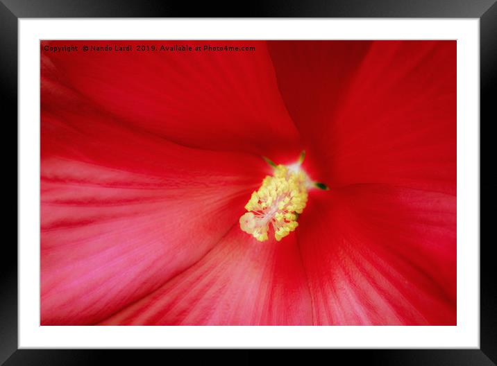 Cinnamon Grappa Framed Mounted Print by DiFigiano Photography
