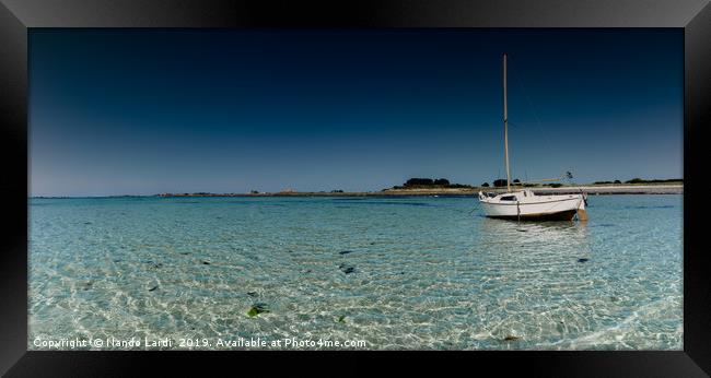 The Waiting Framed Print by DiFigiano Photography