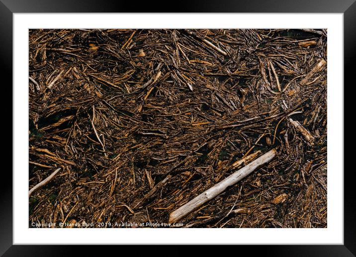 Driftwood Framed Mounted Print by DiFigiano Photography