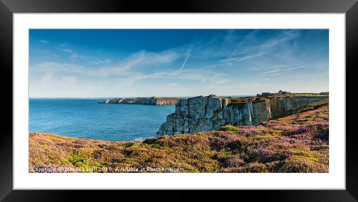 Breton Heath Framed Mounted Print by DiFigiano Photography