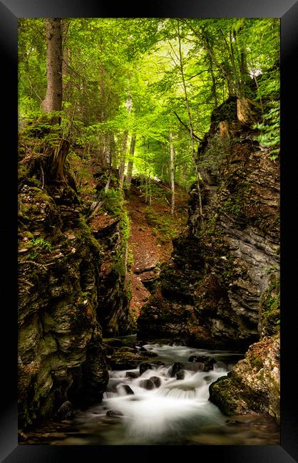 Thur Creek in Toggenburg Valley in the Swiss Alps Framed Print by DiFigiano Photography