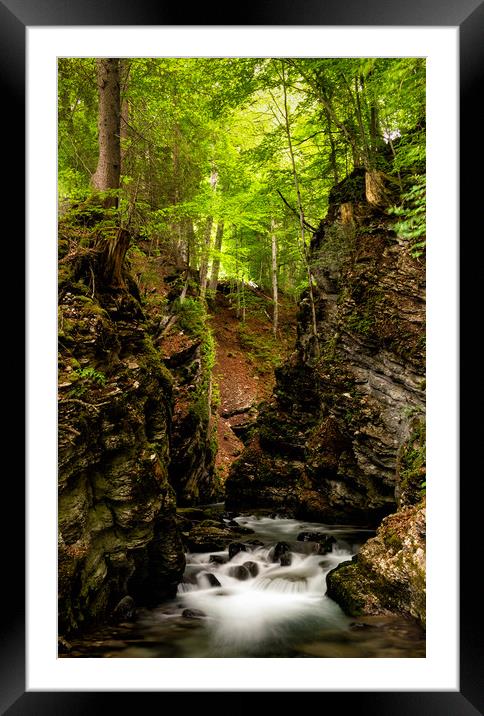 Thur Creek in Toggenburg Valley in the Swiss Alps Framed Mounted Print by DiFigiano Photography