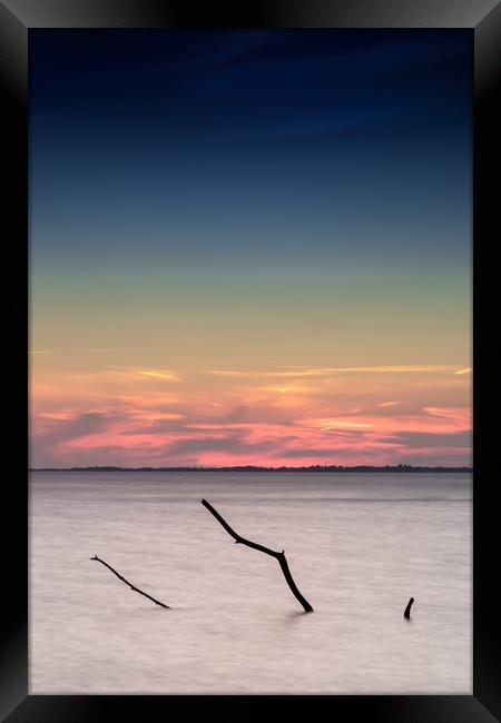 Lohme Driftwood Framed Print by DiFigiano Photography