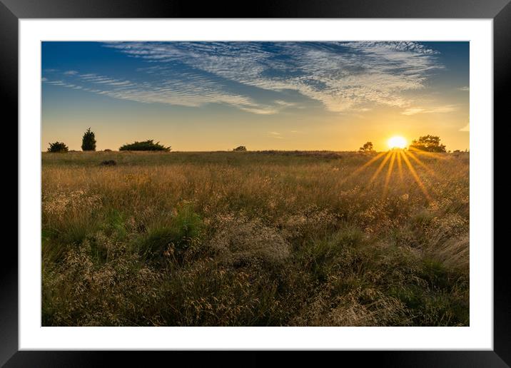 Sunset on the Heath Framed Mounted Print by DiFigiano Photography