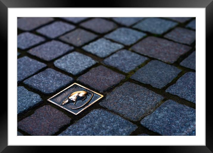 The Pied Piper Framed Mounted Print by DiFigiano Photography