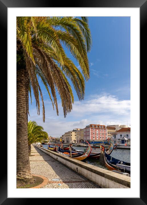 Aveiro Framed Mounted Print by DiFigiano Photography