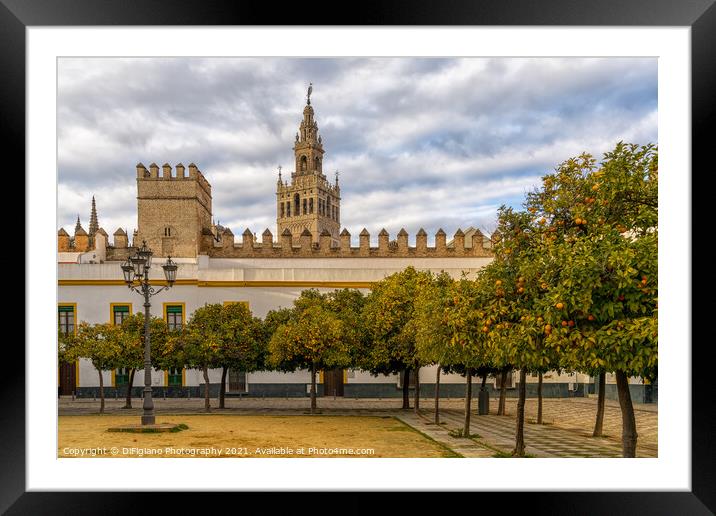 the historic Patio de Banderas in Seville with the cathedral in the background Framed Mounted Print by DiFigiano Photography