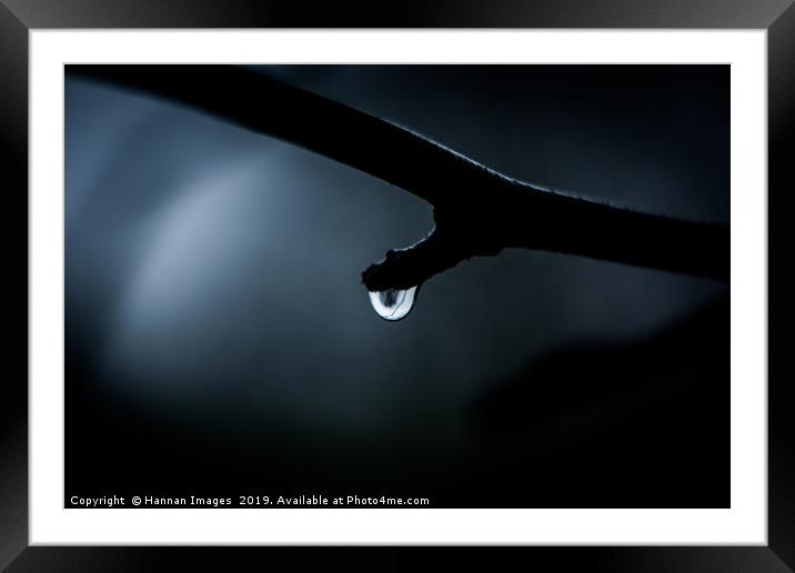 Rain Drop in the darkness Framed Mounted Print by Hannan Images