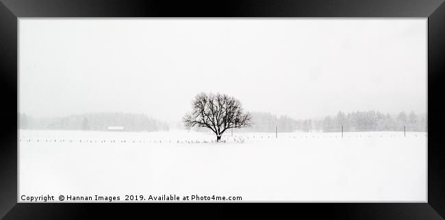 Scene from a train I Framed Print by Hannan Images