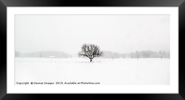 Scene from a train I Framed Mounted Print by Hannan Images