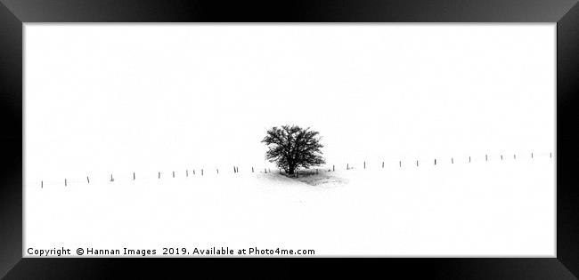 Scene from a train II Framed Print by Hannan Images