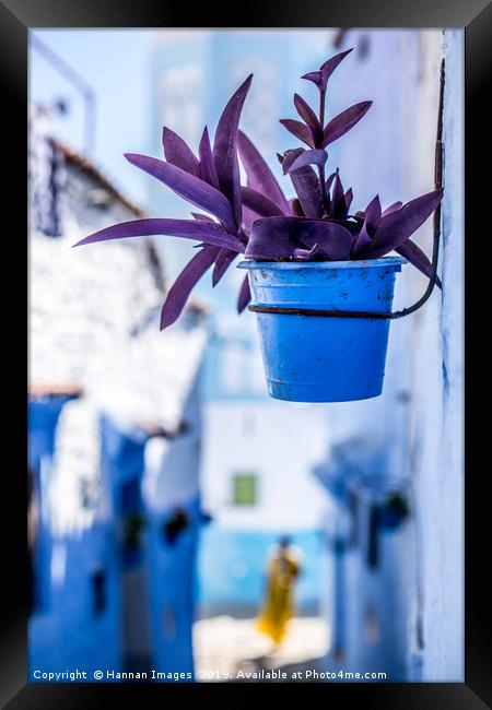 Purple and blue Framed Print by Hannan Images