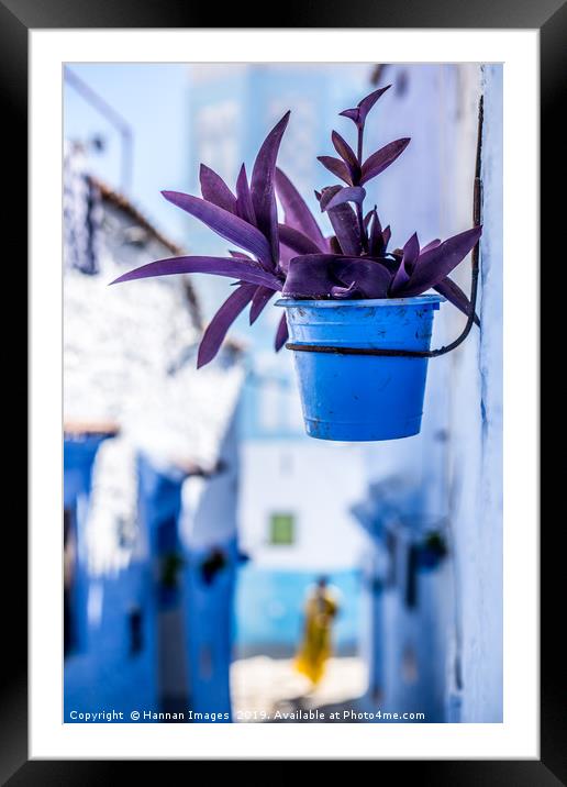 Purple and blue Framed Mounted Print by Hannan Images