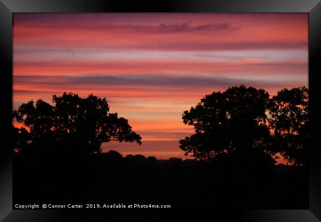 Sunrise with the trees Framed Print by Connor Carter