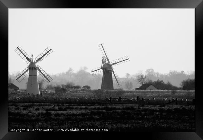 Two Windmills Framed Print by Connor Carter