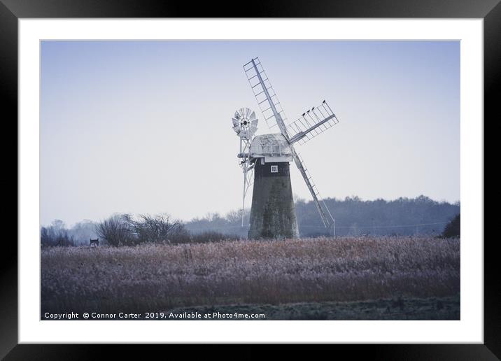 Cormorants on a Windmill Framed Mounted Print by Connor Carter