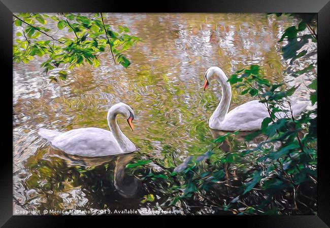 Swans on the River Stour  Framed Print by Monica McMahon