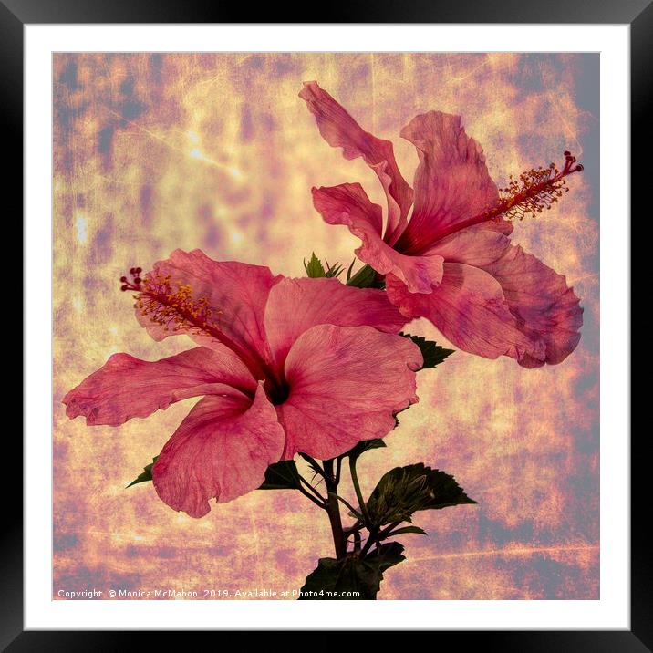 Hibiscus Flower Duo, Art form Framed Mounted Print by Monica McMahon