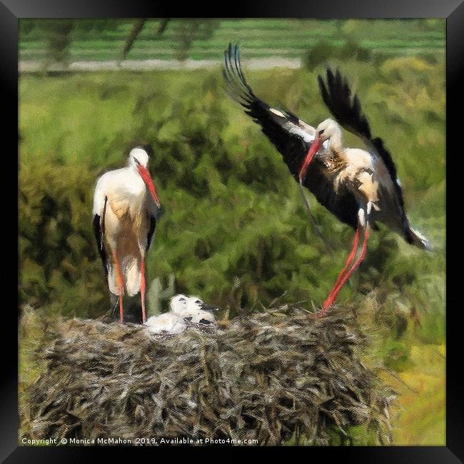 Storks waiting for food on their nest. Framed Print by Monica McMahon