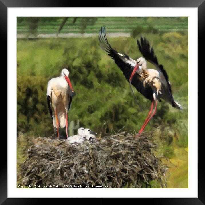 Storks waiting for food on their nest. Framed Mounted Print by Monica McMahon