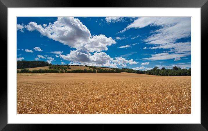 Fields of Gold                                     Framed Mounted Print by Ling Peng