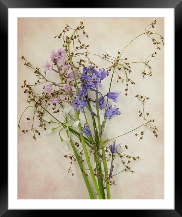wild flowers Framed Mounted Print by kathy white