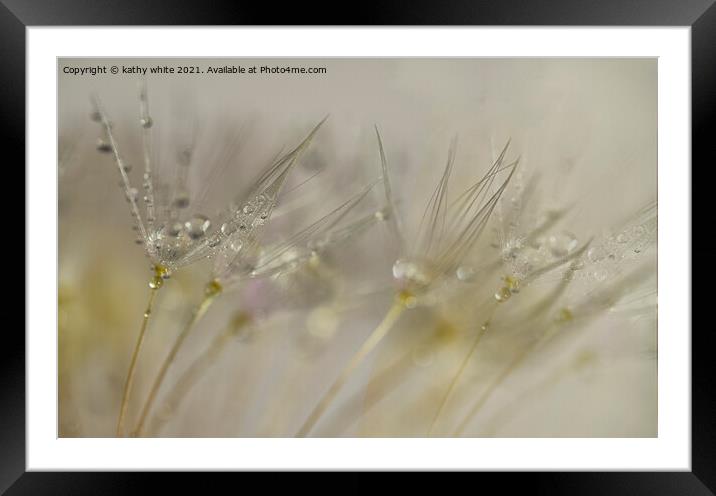 Pearls on a dandelion seedheads, close up Framed Mounted Print by kathy white