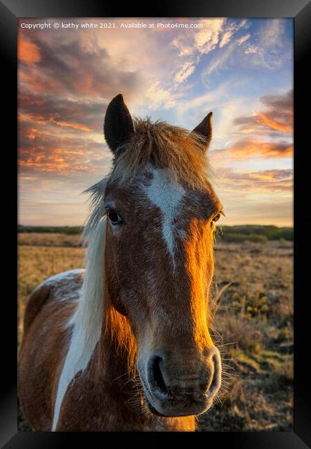 horse at sunset,portrait of a horse Framed Print by kathy white