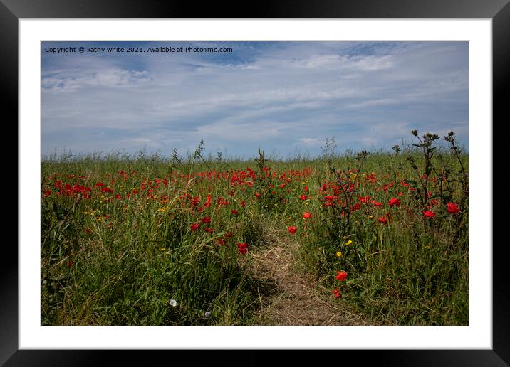 West Pentire Cornwall Red poppies ,,wild flowers Framed Mounted Print by kathy white