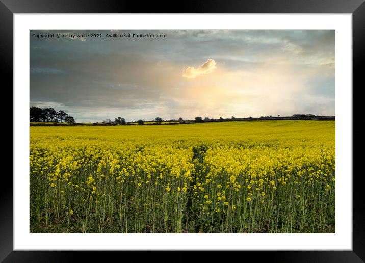 Rapeseed sunset cornwall, at sunset Framed Mounted Print by kathy white