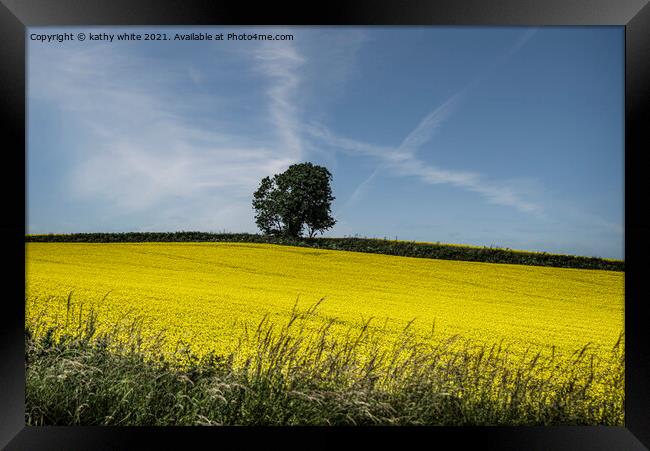 Rapeseed field with a Lone tree  Framed Print by kathy white
