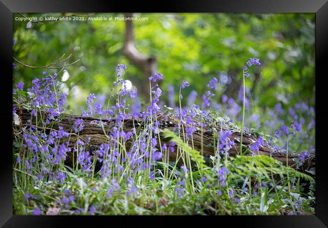 English Bluebell Wood, Cornwall,wild flowers Framed Print by kathy white
