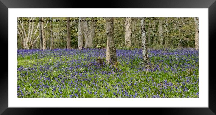 English Bluebell Wood, bluebell, Framed Mounted Print by kathy white