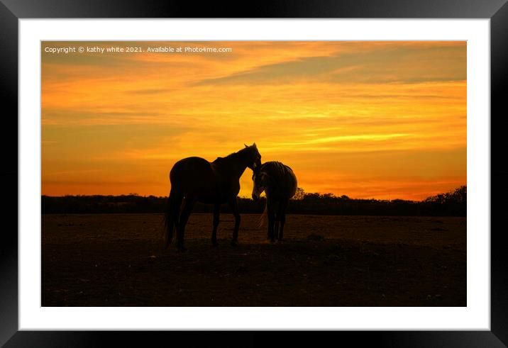 Two beautiful horses together at sunset,Silhouette Framed Mounted Print by kathy white