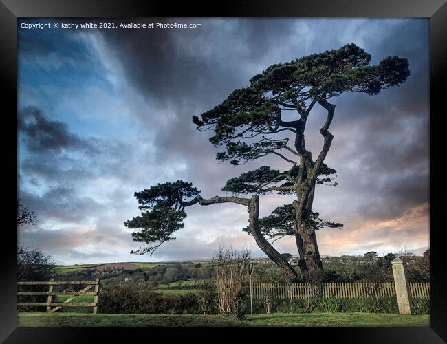 Helston Cornwall tree on the road to the lizard Framed Print by kathy white