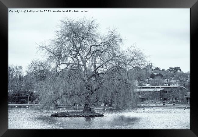 winter Willow tree, Helston Cornwall boating lake Framed Print by kathy white