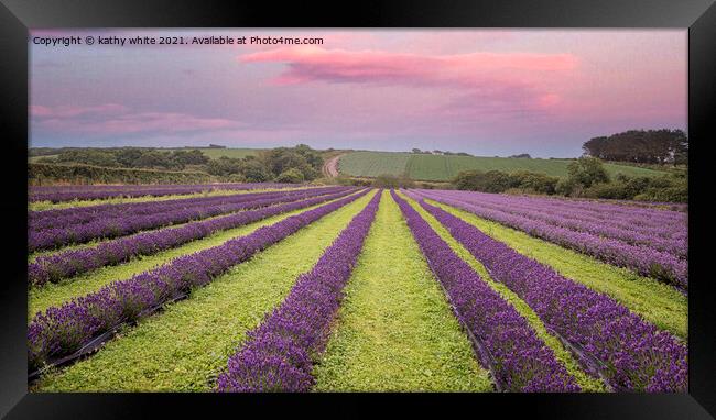 Serene Sunrise Over Lavender Fields Framed Print by kathy white