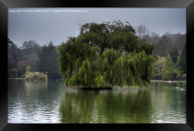 Weeping willow on a lake Framed Print by kathy white