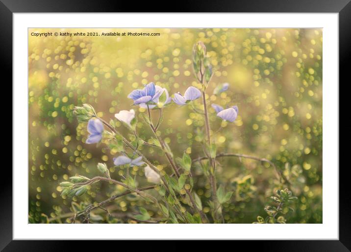 summer rain on wildflowers Framed Mounted Print by kathy white