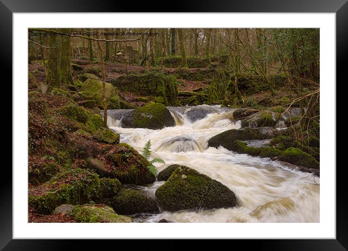 Kennall vale woods Cornwall Framed Mounted Print by kathy white