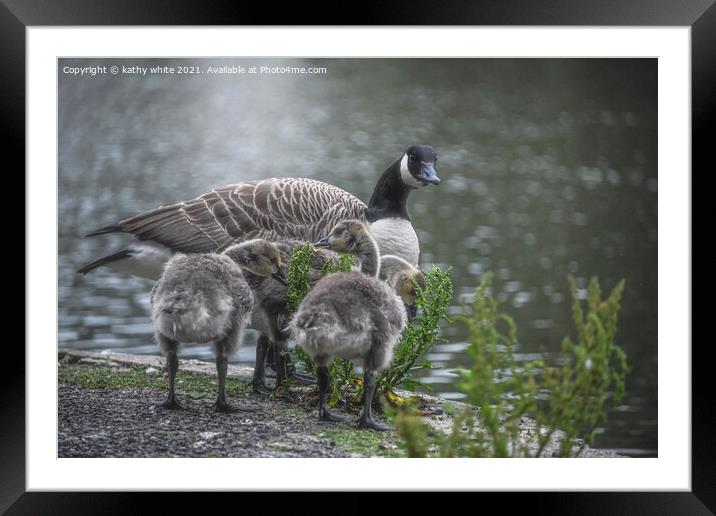 The Heartwarming Encounter between a Mother Canada Framed Mounted Print by kathy white