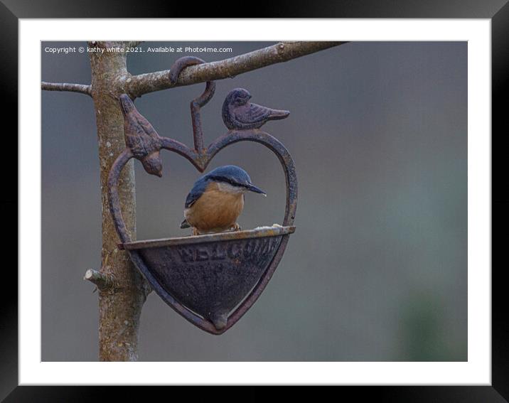Nuthatch bird, love birds, Framed Mounted Print by kathy white