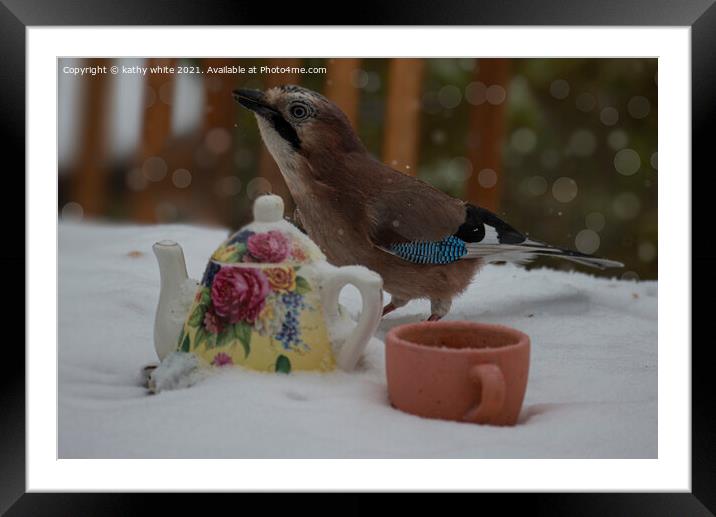Jay bird in the snow Framed Mounted Print by kathy white