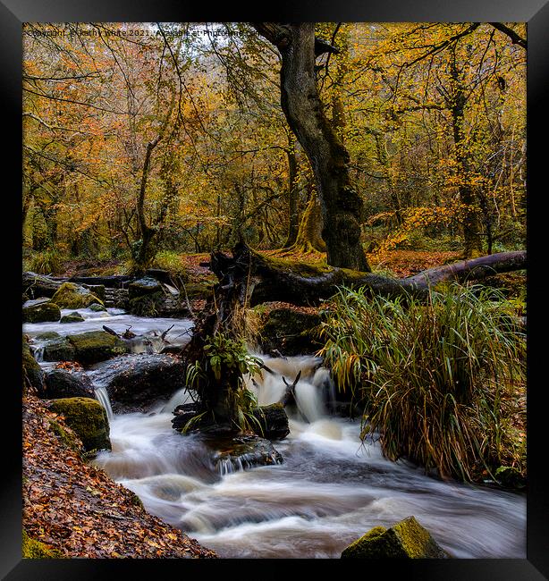 Kennall Vale,Autumn in Cornwall Framed Print by kathy white