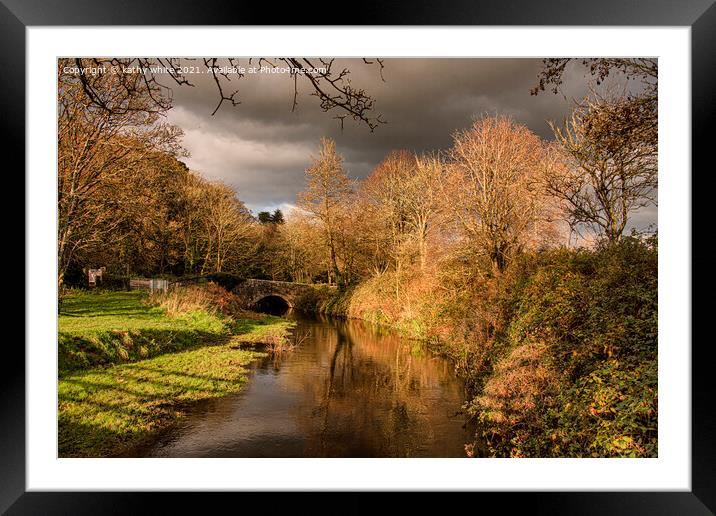 Autumn at Penrose, Zachary bridge, river Cober Framed Mounted Print by kathy white