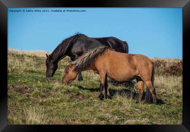 Two Dartmoor ponies Framed Print by kathy white