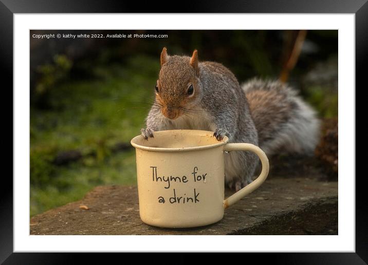 grey squirrel,time for tea Framed Mounted Print by kathy white