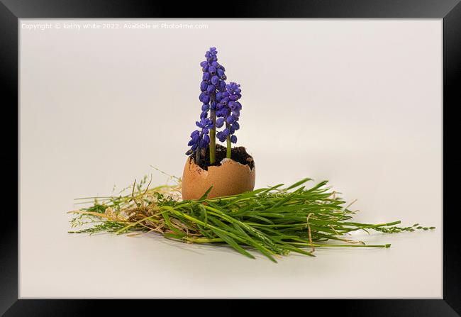  Grape hyacinths wild flowers Framed Print by kathy white